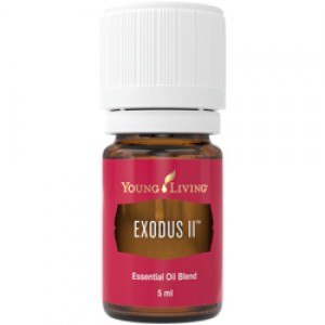 Exodus II